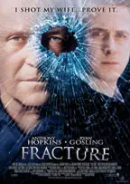 Fracture preview